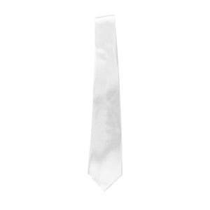 Sublimation Necktie , Neckties , PHOTO USA